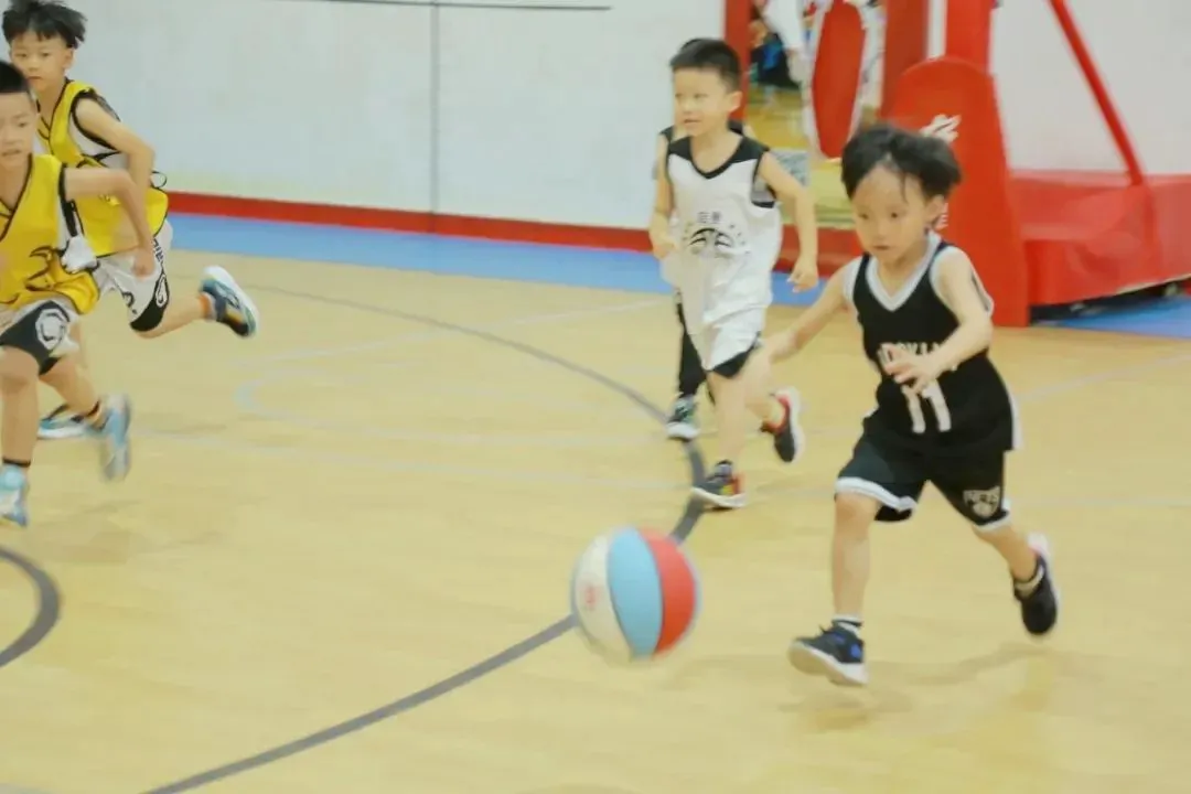 哪里可以学习到高级的篮球战术训练方法？_1